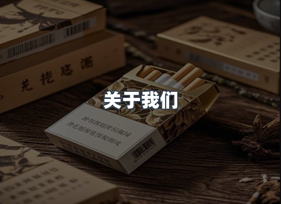 关于我们